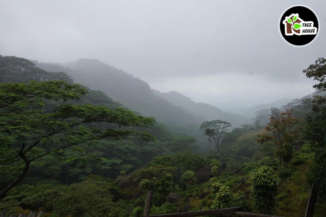 Jungle Tree House Rangala Bed & Breakfast Kandy Exterior photo
