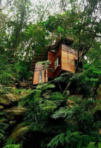 Jungle Tree House Rangala Bed & Breakfast Kandy Exterior photo