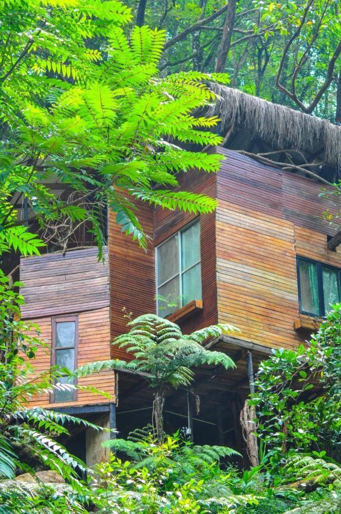 Jungle Tree House Rangala Bed & Breakfast Kandy Exterior photo