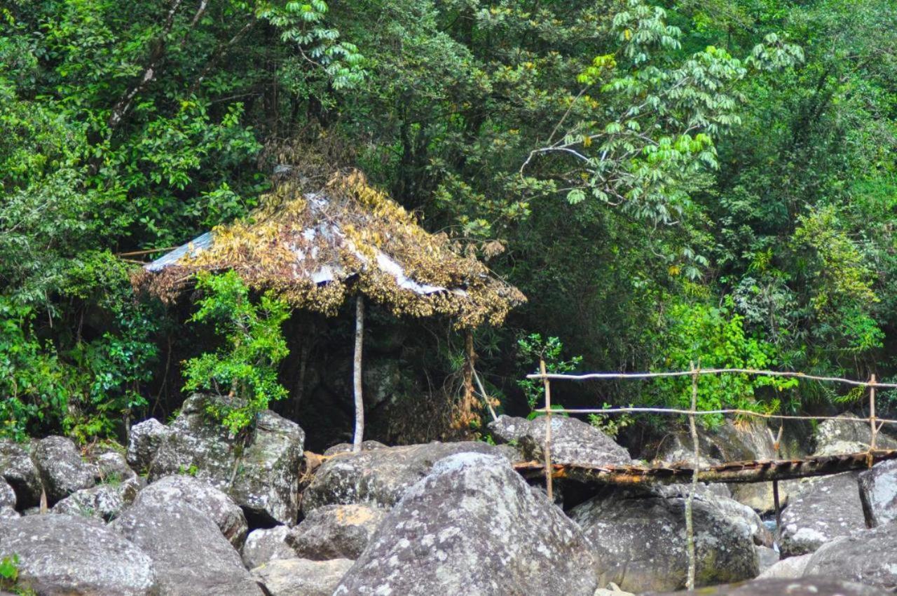 Jungle Tree House Rangala Bed & Breakfast Kandy Exterior photo