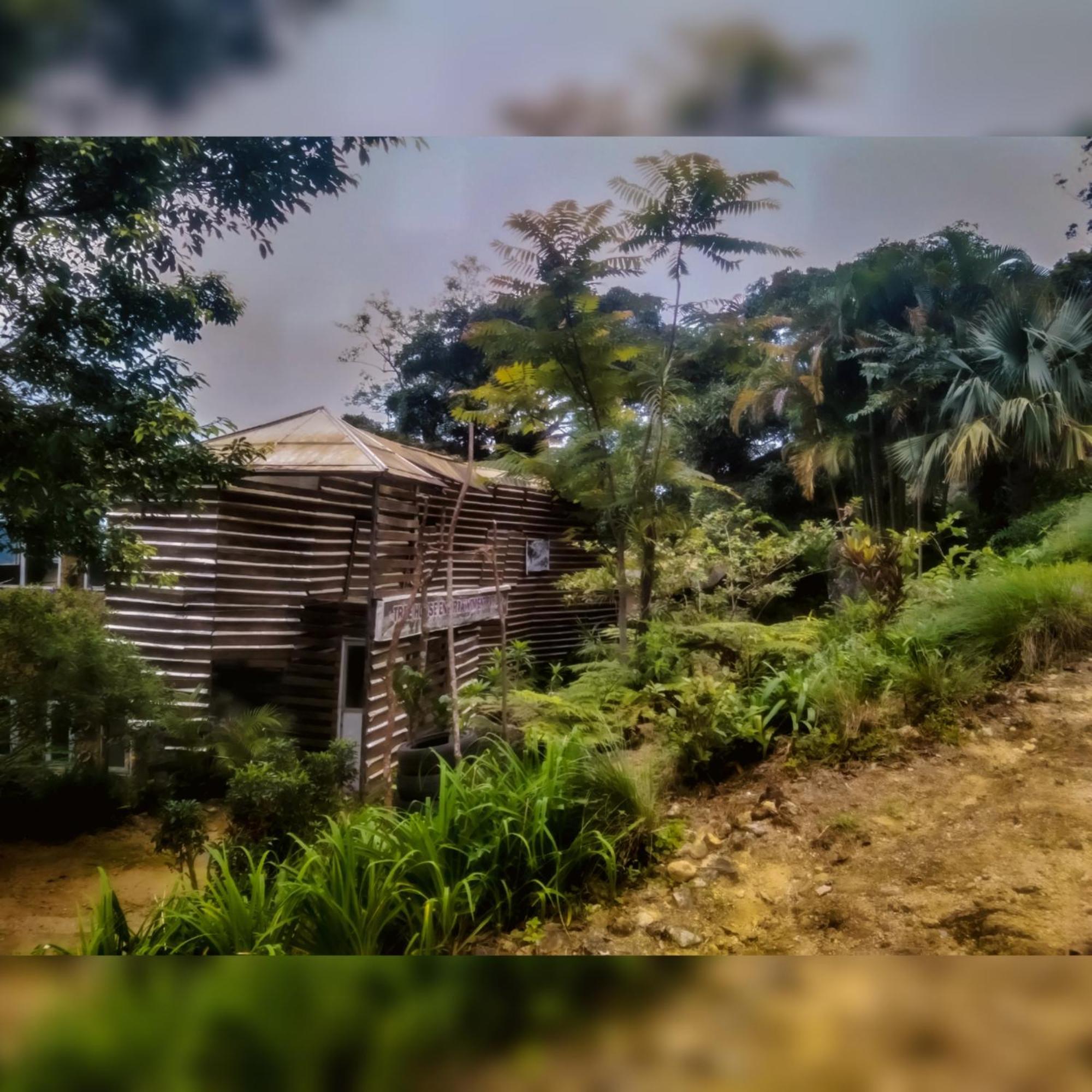 Jungle Tree House Rangala Bed & Breakfast Kandy Exterior photo